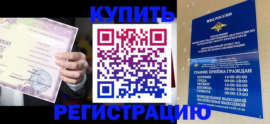 временная регистрация собственник в Новгородской области